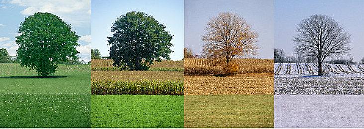 索尼财报：PS5销量达到7780万台 PS创收超300亿美元